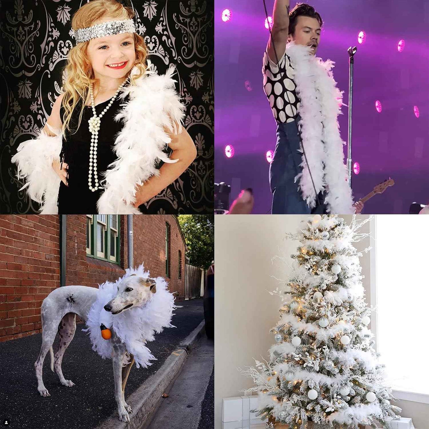 45g White Feather Boa - 2 Yards Turkey Boa Feathers for Party Bulk,Christmas,Wedding Centerpieces,Costume,Concert,Pet and Home Decoration(45g-White)