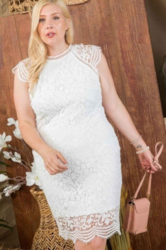 New Arrival – Lace Crochet Mini Raglan Dress With Zipper Back – New Arrival Now Live