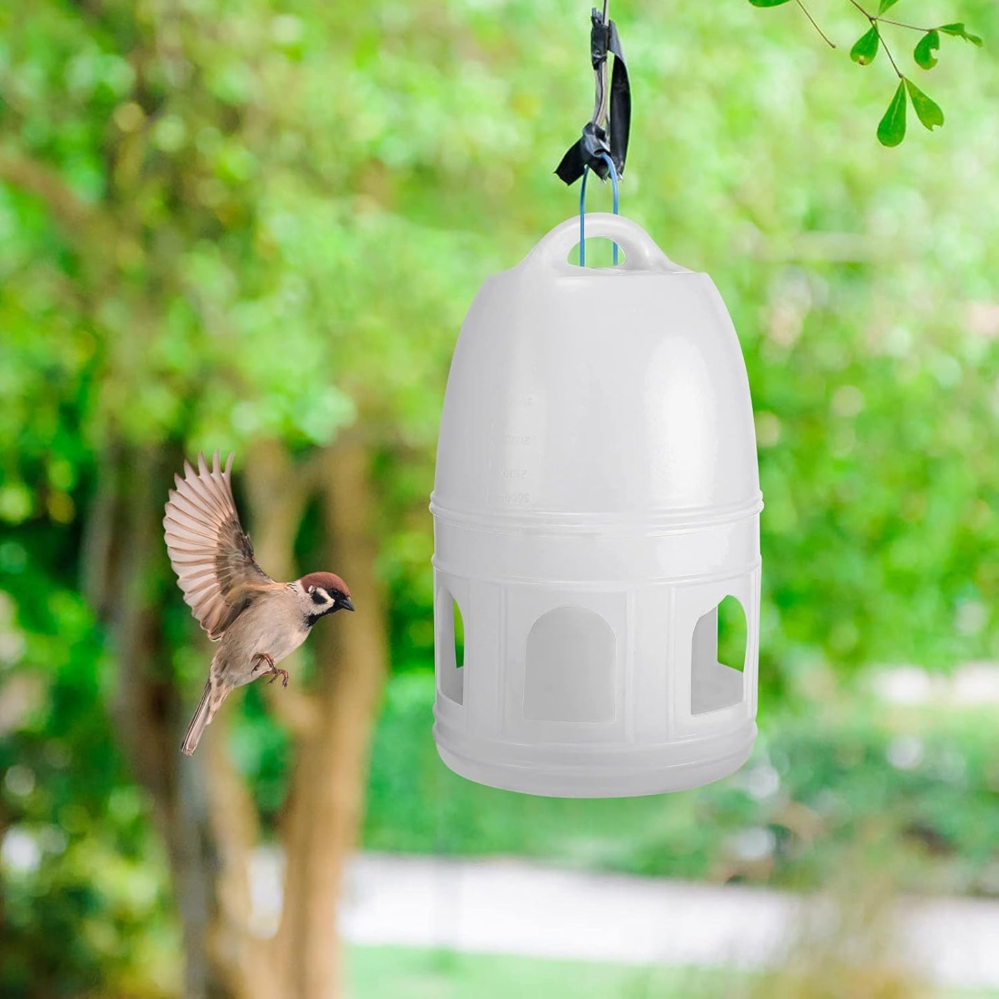 Pigeon Water Dispenser, Plastic Bird Feeder, Durable, Hanging Design, Suitable for Travel