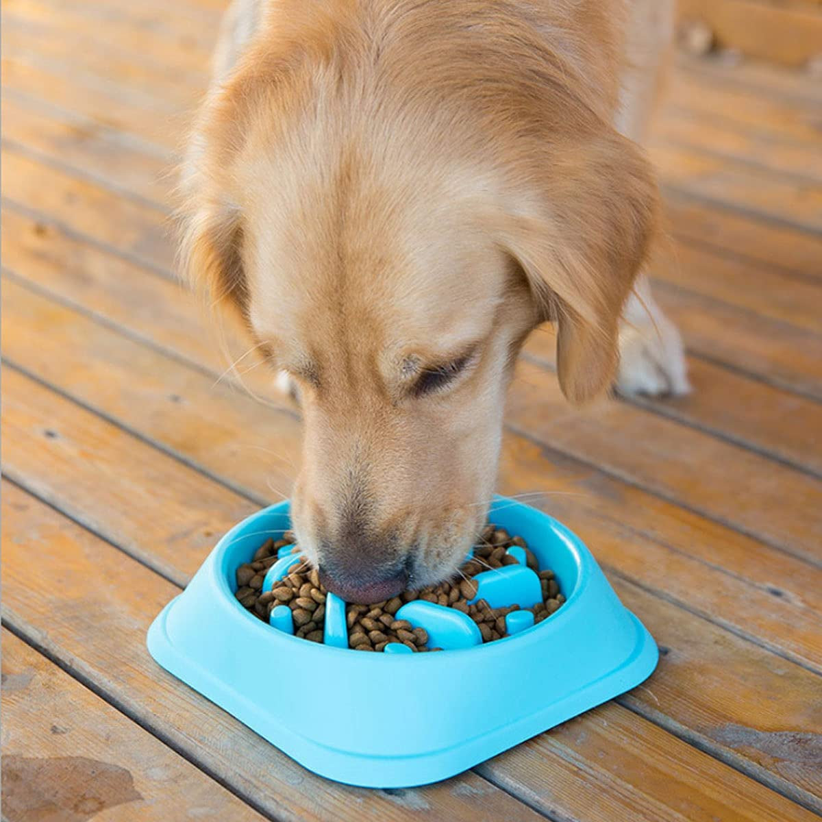 Slow Feeder Dog Bowls, Fun Feeder Sol Bowl, Maze Interactive Dog Puzzle Non Skid Stop Dog Food Bowls. Eco-Friendly Non Toxic Healthy Design Dog Bowl for Large Medium Small Dogs (Blue) Pet's Supplies |