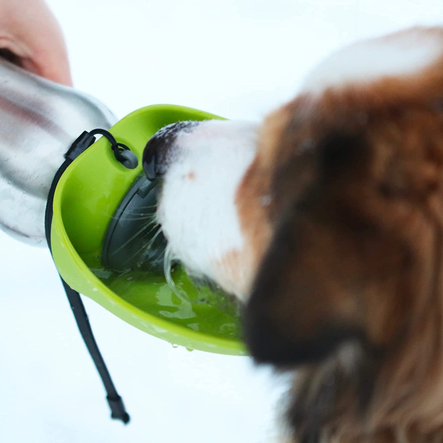 Stainless Steel Travel Water Bottle with Silicone Flip up Bowl | Pet Travel Necessity | Camping, Hiking, Walking Accessory | 24 Oz / 700Ml | Green