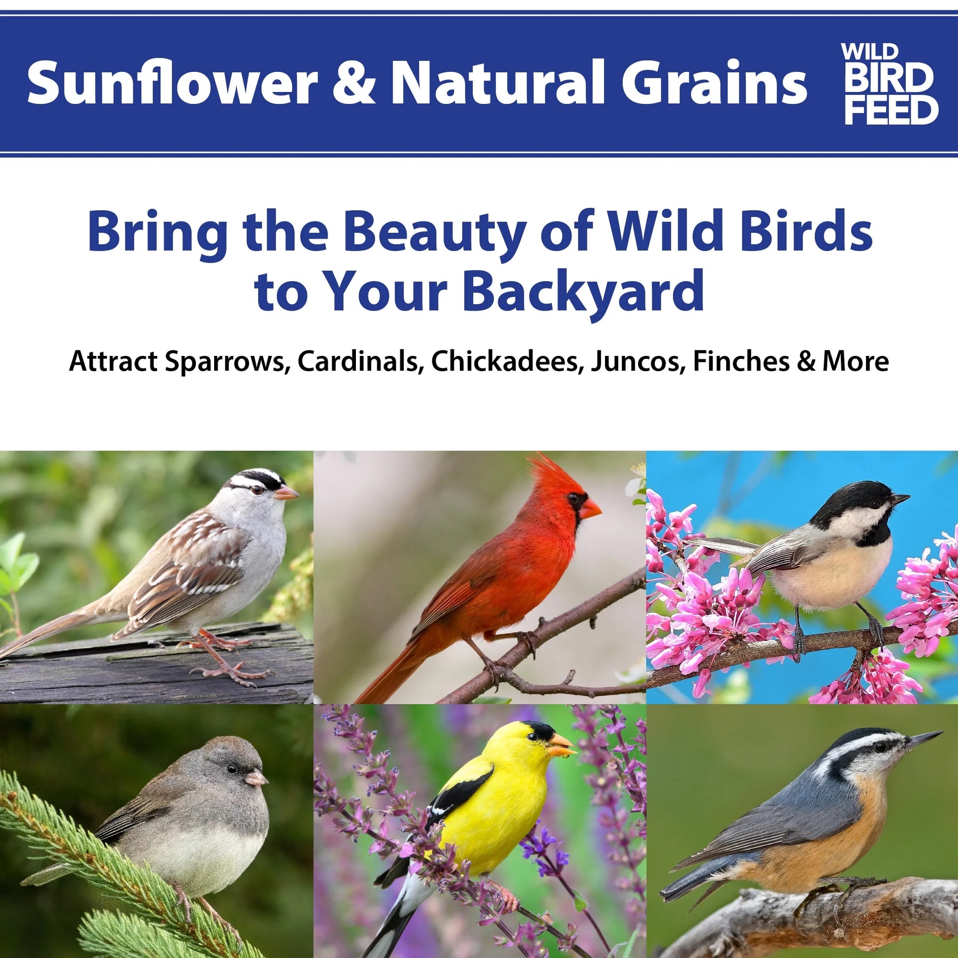 Sunflower & Natural Grains Wild Bird Feed, 5 Lb Pet's Supplies |