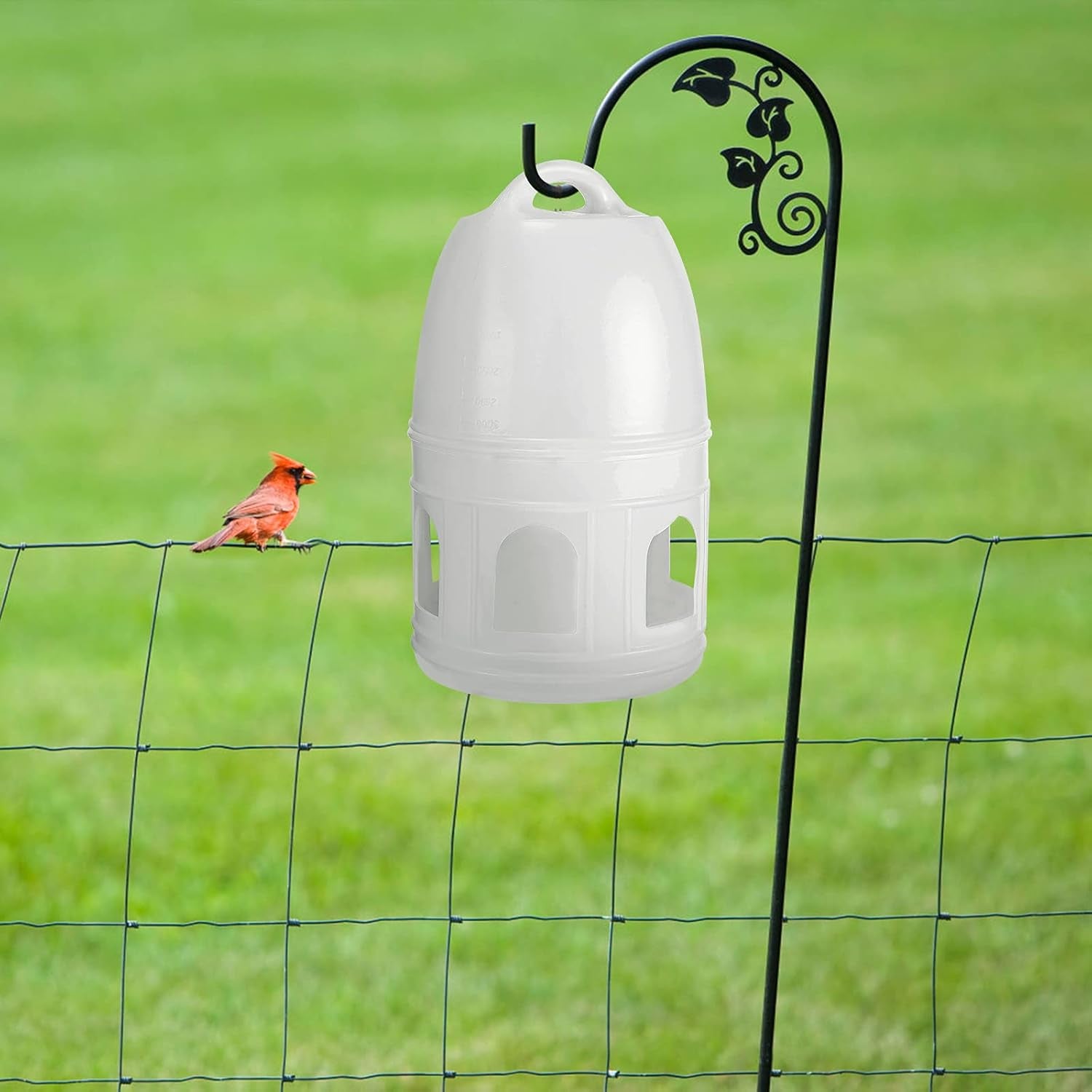 Pigeon Water Dispenser, Plastic Bird Feeder, Durable, Hanging Design, Suitable for Travel