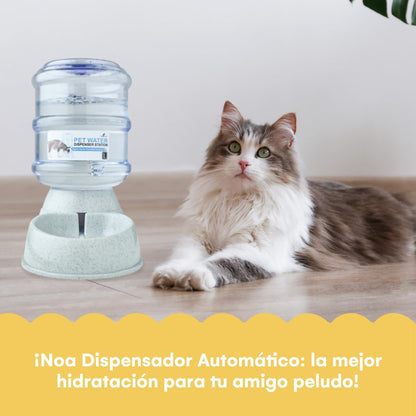 Automatic 1-Gallon Pet Feeder, Easy to Clean, Supports Multiple Pets, Ideal for Cats and Dogs