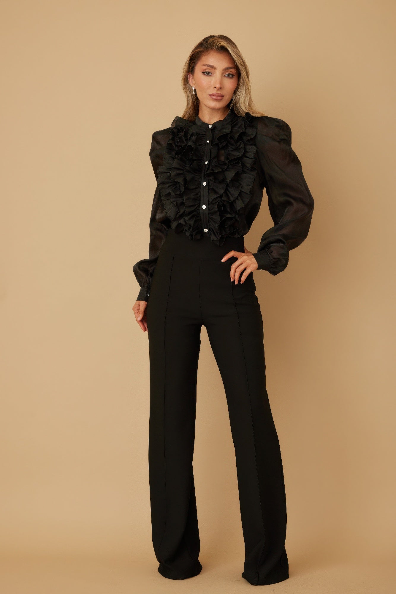Ruffle Micro Crystal Long Sleeve Blouse-Product Type | Naughty Smile Fashion