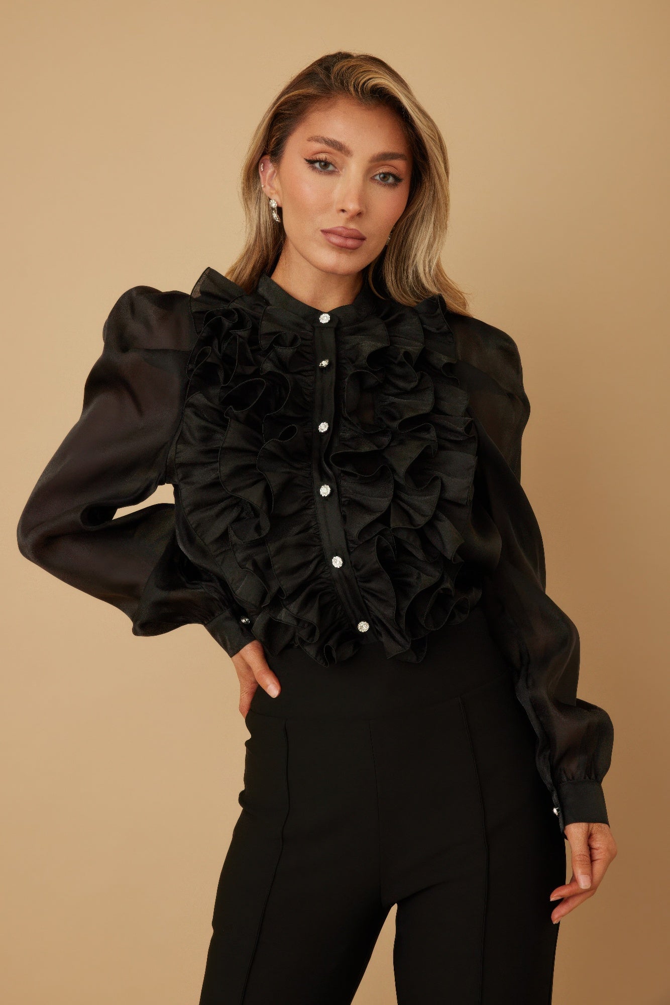 Ruffle Micro Crystal Long Sleeve Blouse-Product Type | Naughty Smile Fashion
