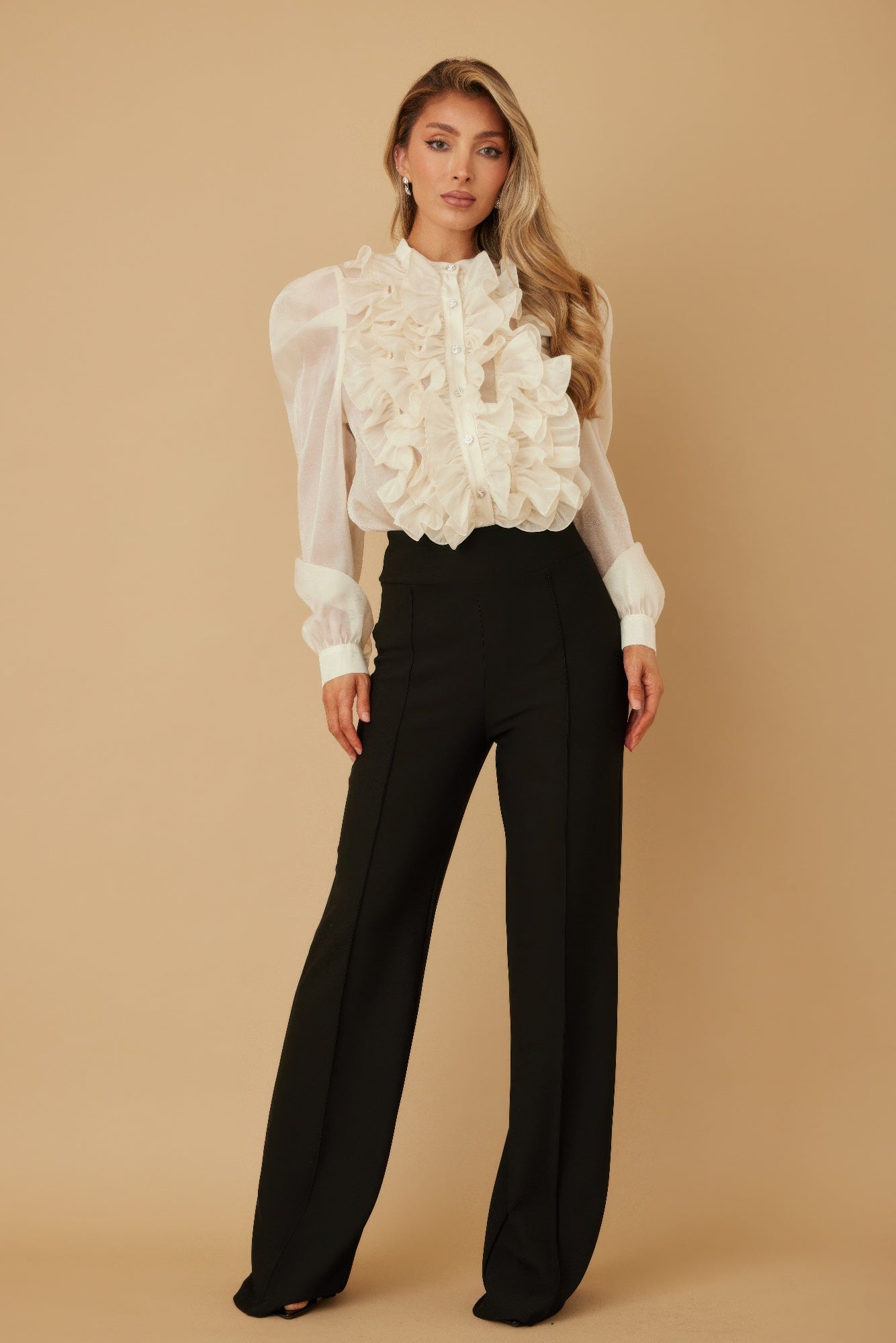 Ruffle Micro Crystal Long Sleeve Blouse-Product Type | Naughty Smile Fashion