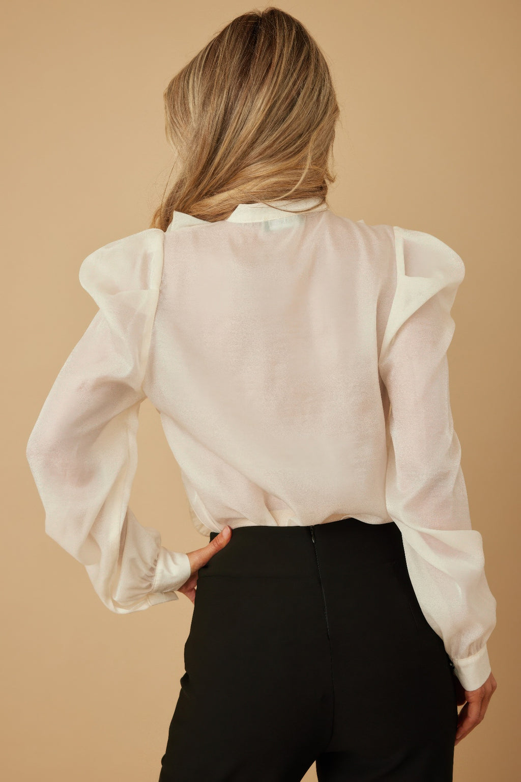 Ruffle Micro Crystal Long Sleeve Blouse-Product Type | Naughty Smile Fashion