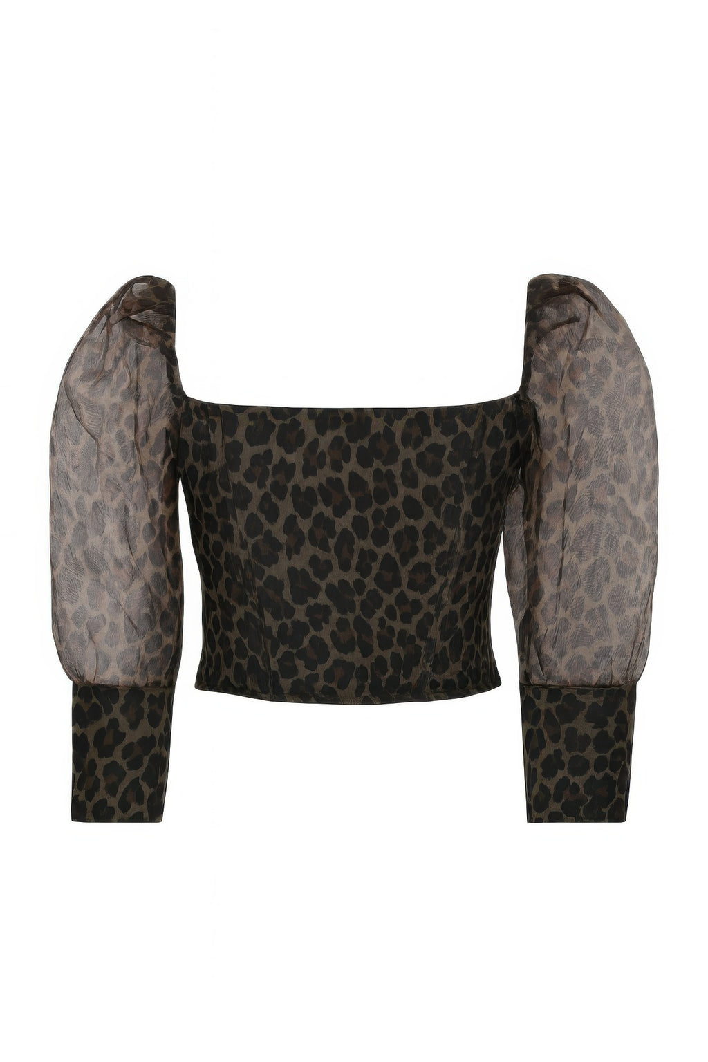 Sheer Leopard Print Crop Top-Product Type | Naughty Smile Fashion