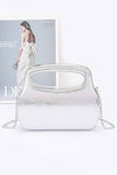 Metallic Case Bag