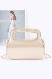 Metallic Case Bag