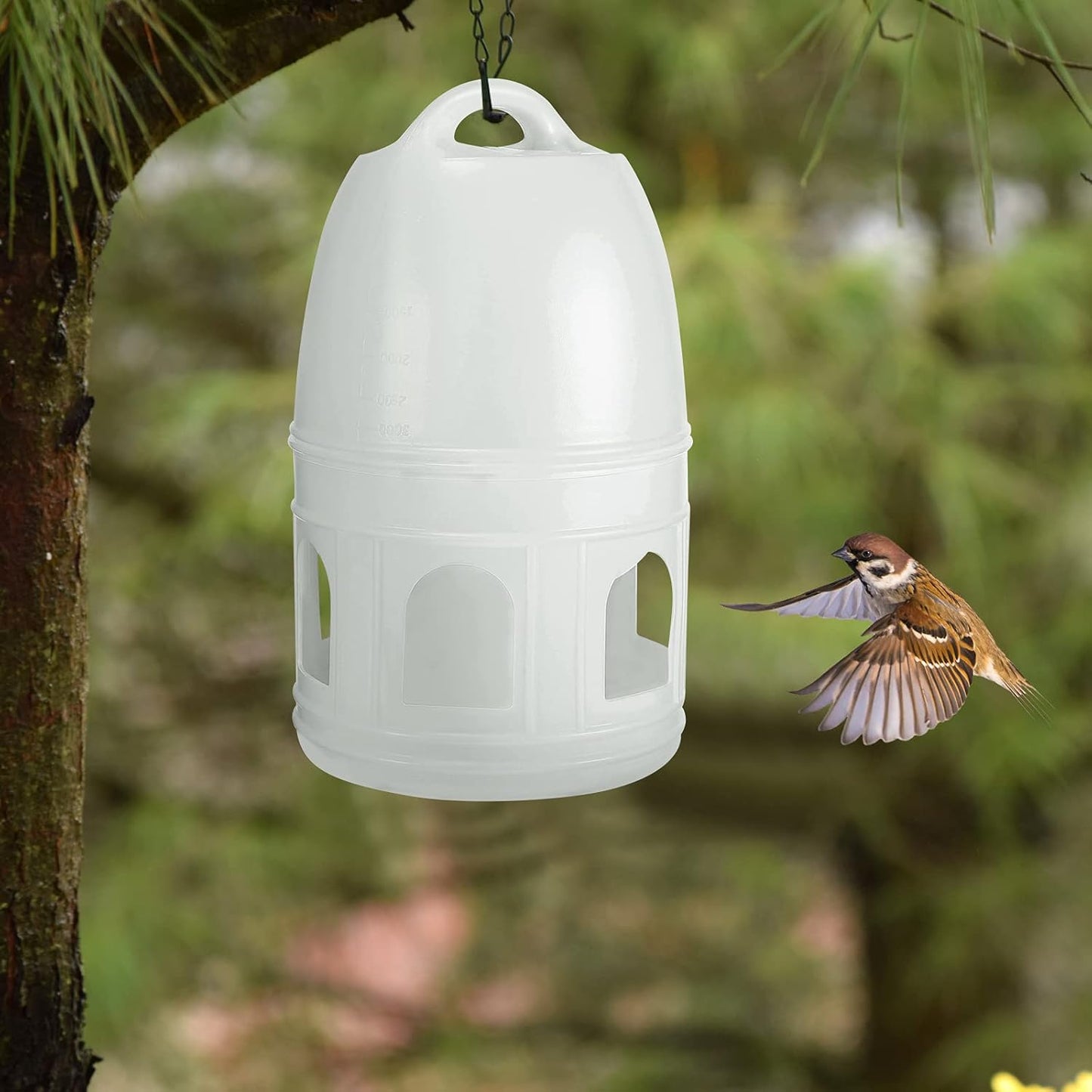 Pigeon Water Dispenser, Plastic Bird Feeder, Durable, Hanging Design, Suitable for Travel