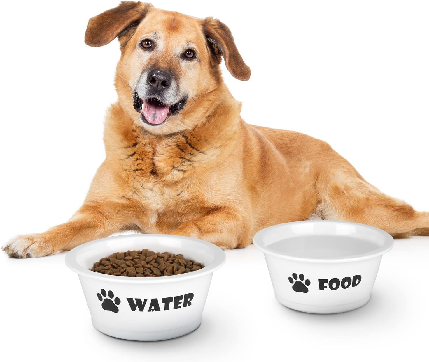 Set of 2 Ceramic Dog Cat Bowl Set, Pet Porcelain Food and Water Feeder Dish Bowls with anti Slip Band, Dishwasher and Microwave Safe (Medium) Pet's Supplies |