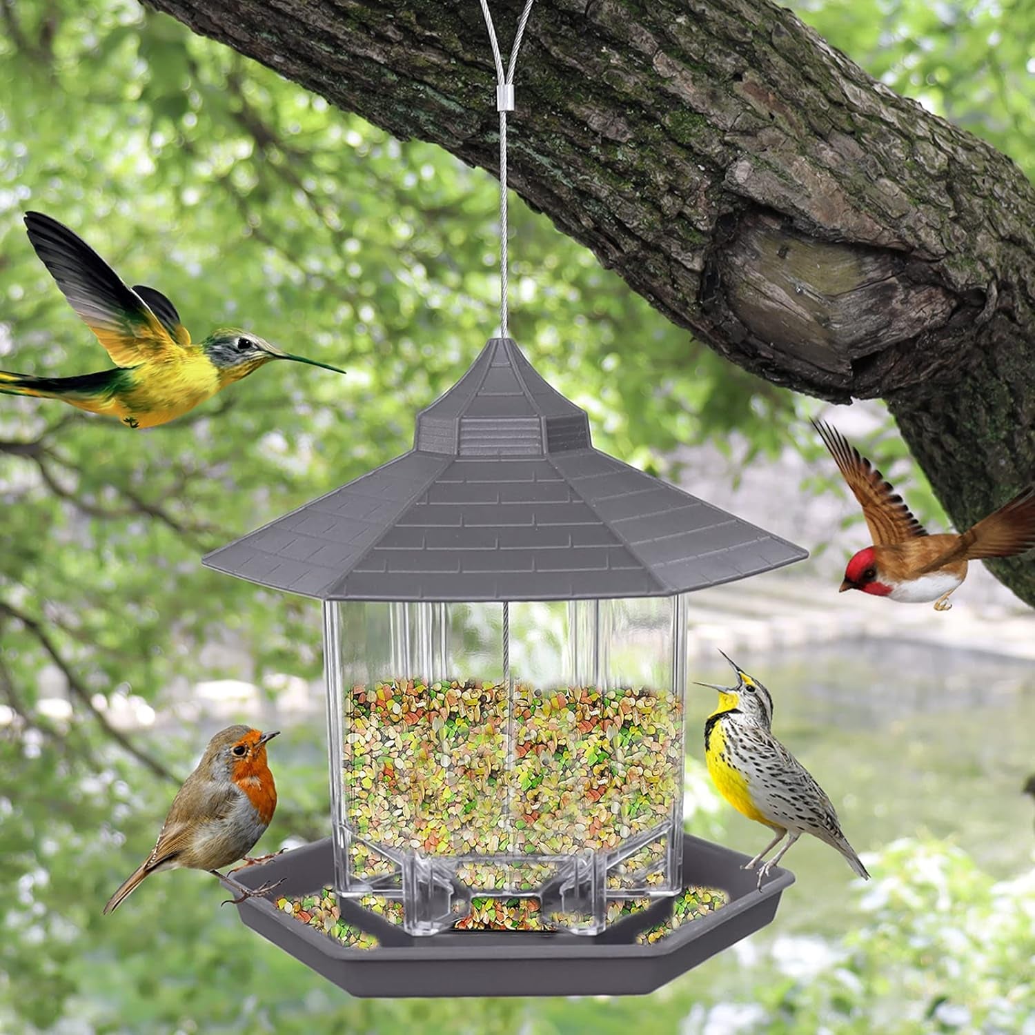 Wild Bird Feeder,Bird Feeders Squirrel Proof for Outside,Bird Feeders for Outdoors Hanging,Bird Feeders for outside Clearance, Gray Pet's Supplies |