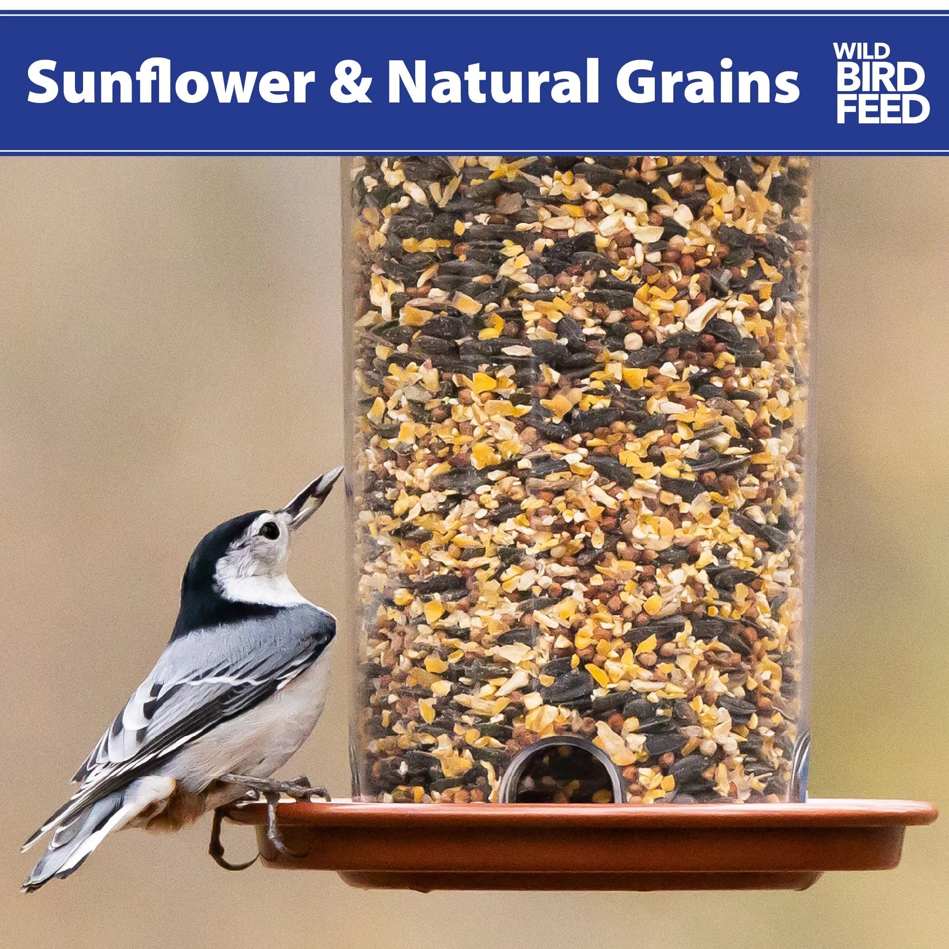 Sunflower & Natural Grains Wild Bird Feed, 5 Lb Pet's Supplies |